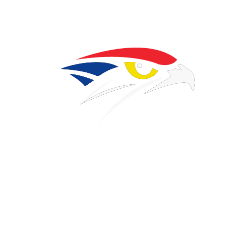 falconservice.com.br