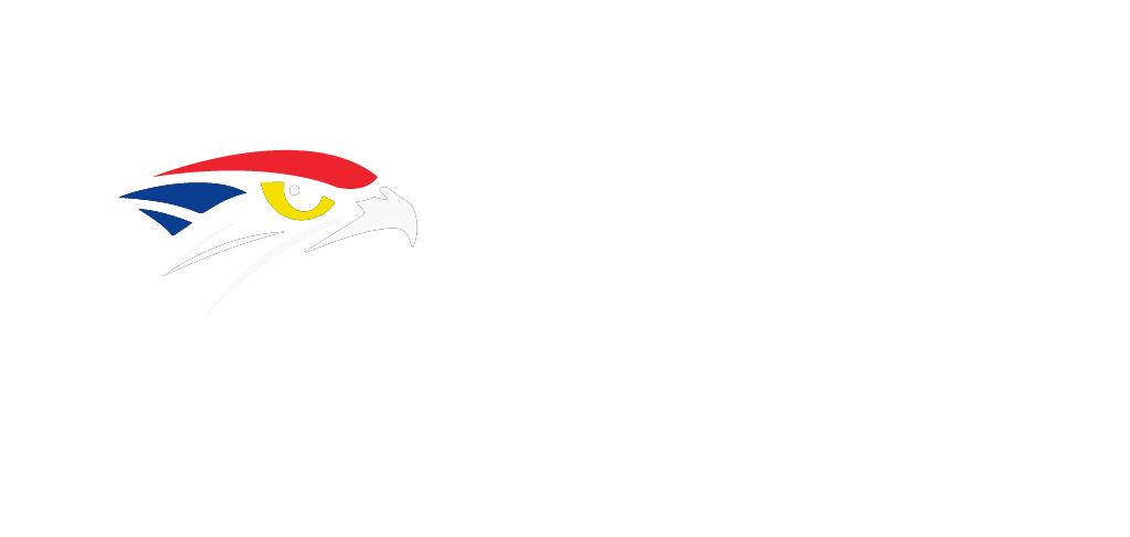 falconservice.com.br